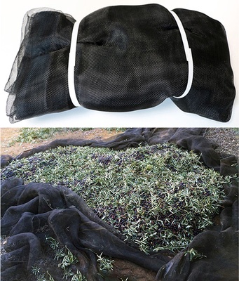 Manta para Recoleccion Aceitunas y Almendras 7x14 mt Manta para Recoleccion Aceitunas y Almendras 7x14 mt